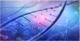 LIFE-SCIENCE